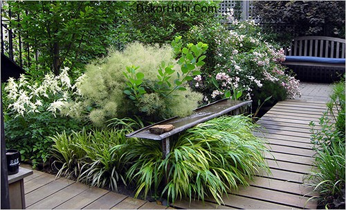 small-urban-gardens-47